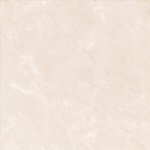 Ceramic Floor Tile Matt Finish 3009