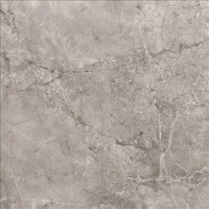 Ceramic Floor Tile DG-4118