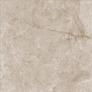 Ceramic Floor Tile DG-4120