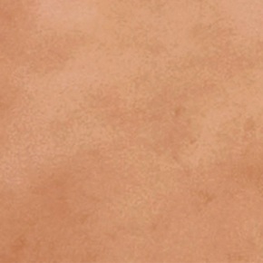 Ceramic Wall Tile 22335