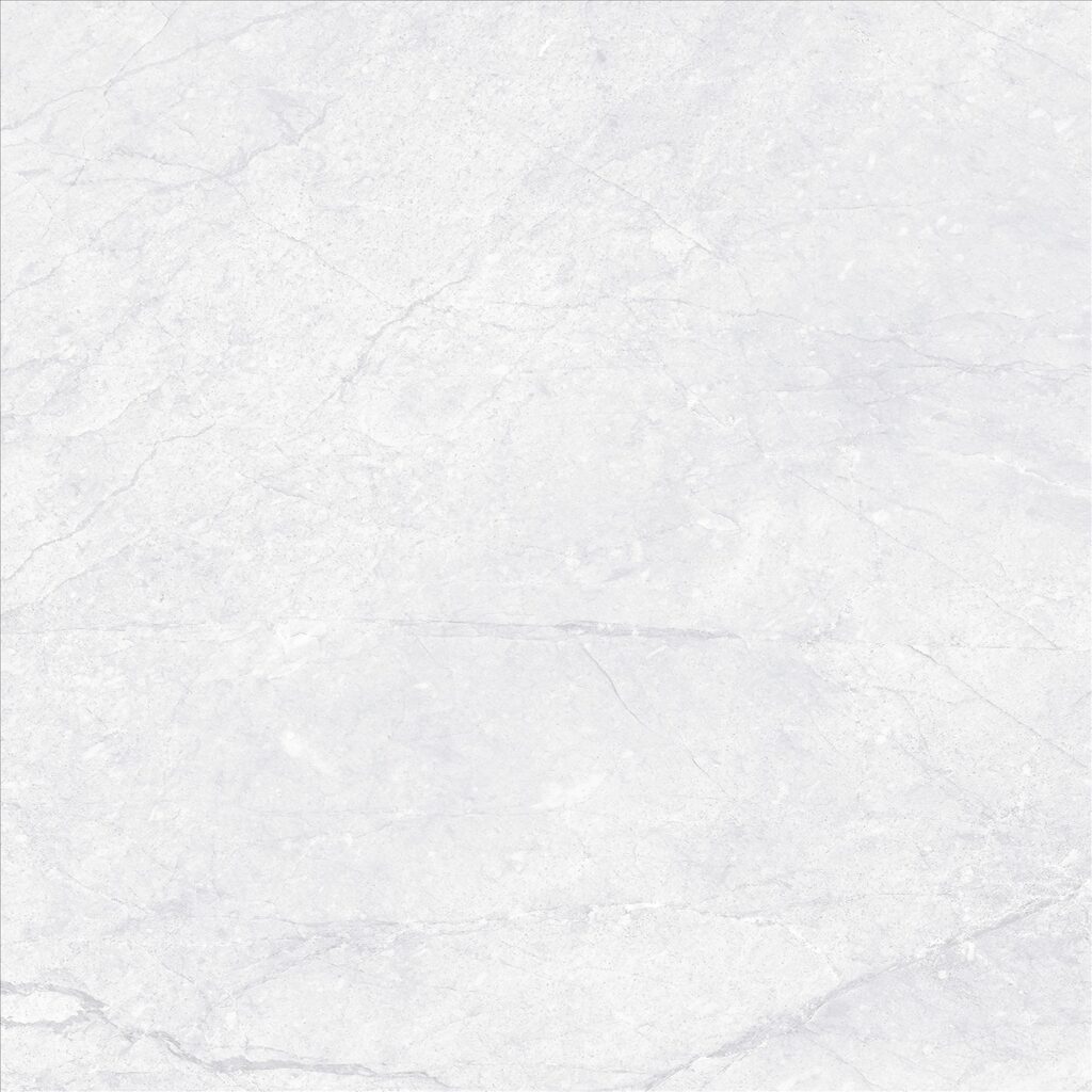 3005