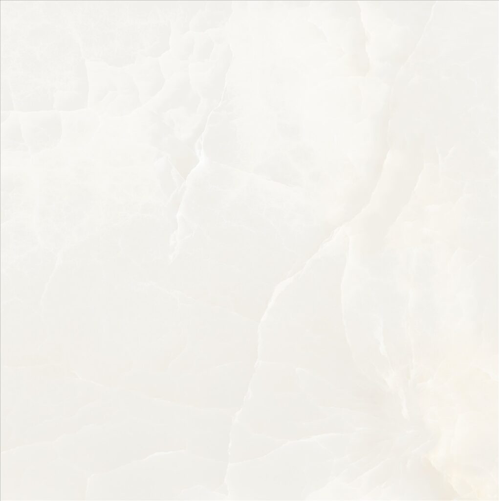 3006