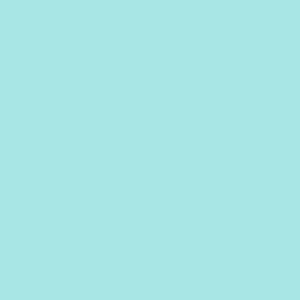 Ceramic Floor Tile  Matt Finish 3042