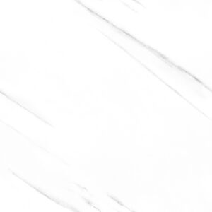 Porcelain Floor Tile 6101