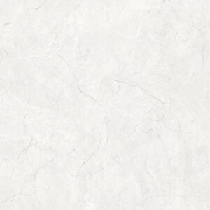 Porcelain Floor Tile 6105
