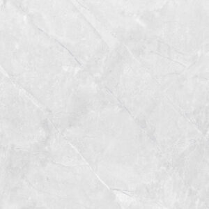 Porcelain Floor Tile 6116