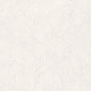 Porcelain Floor Tile 6125