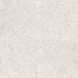 Porcelain Floor Tile 6130
