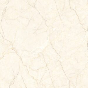 Porcelain Floor Tile 6156