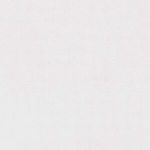 Porcelain Floor Tile 6162