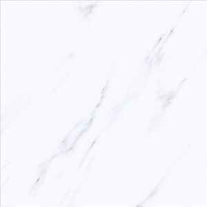 Porcelain Floor Tile 6164