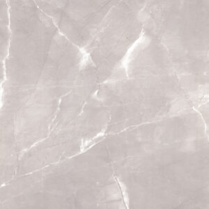 Porcelain Floor Tile 6165