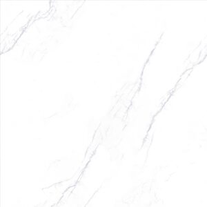 Porcelain Floor Tile 6167