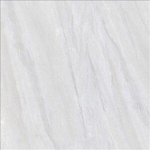 Porcelain Floor Tile 6169