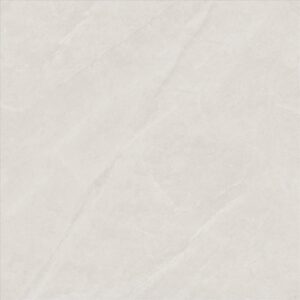 Porcelain Floor Tile 6196