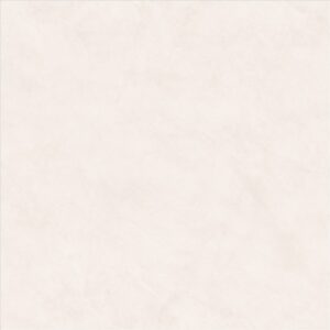 Porcelain Floor Tile 6199