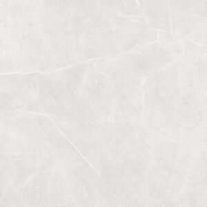 Porcelain Floor Tile 6524