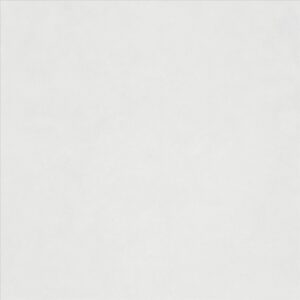 Porcelain Floor Tile 6560