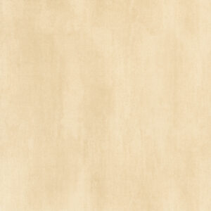 Porcelain Floor Tile 6573