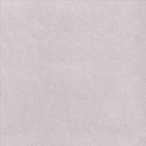 Porcelain Floor Tile 6598