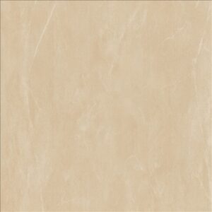 Porcelain Floor Tile 6831