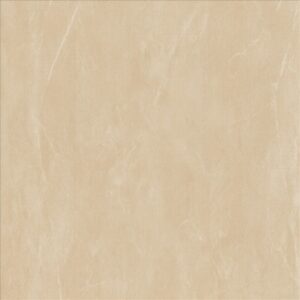 Porcelain Floor Tile 6834