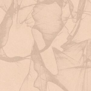 Porcelain Floor Tile 7527