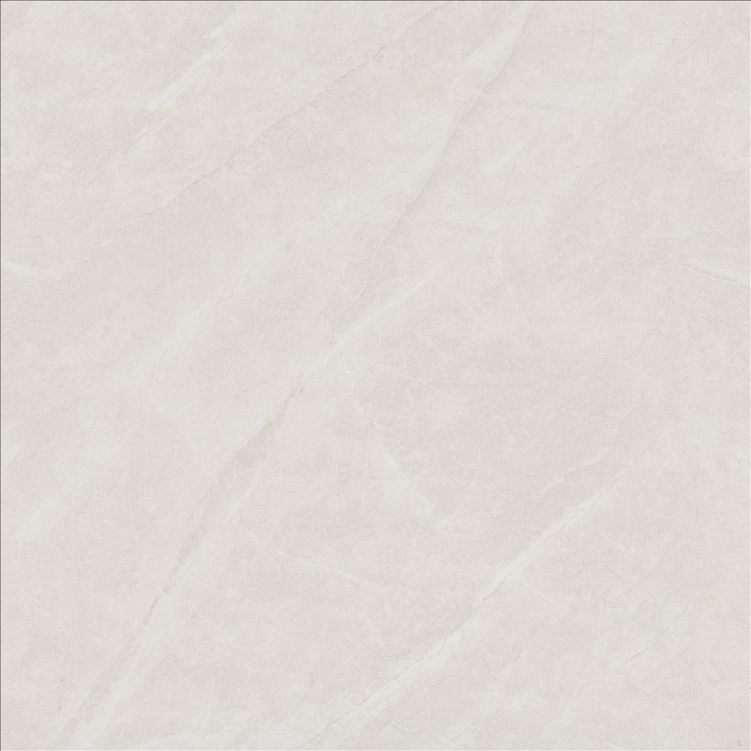 Porcelain Floor Tile 6196