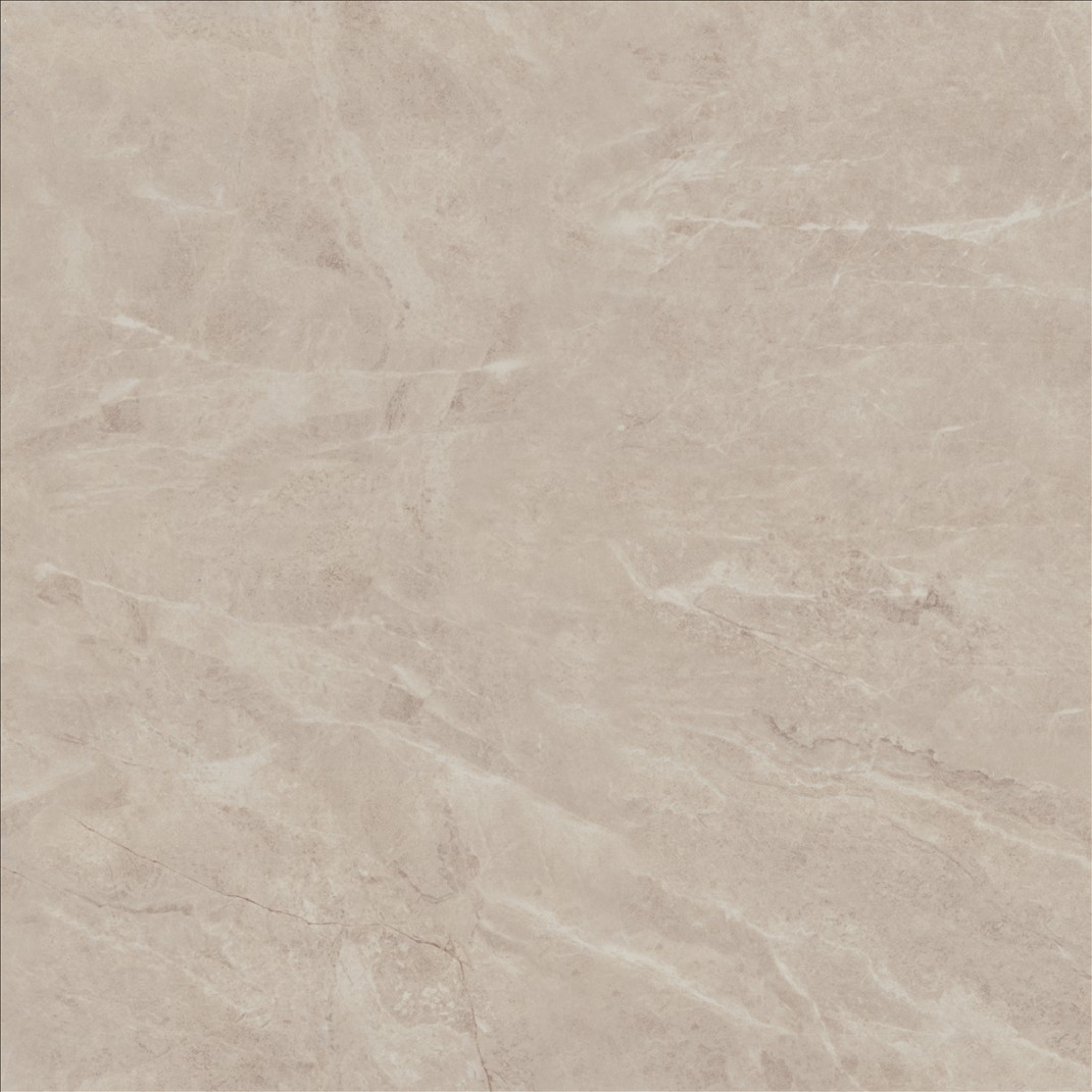 Porcelain Floor Tile 6197