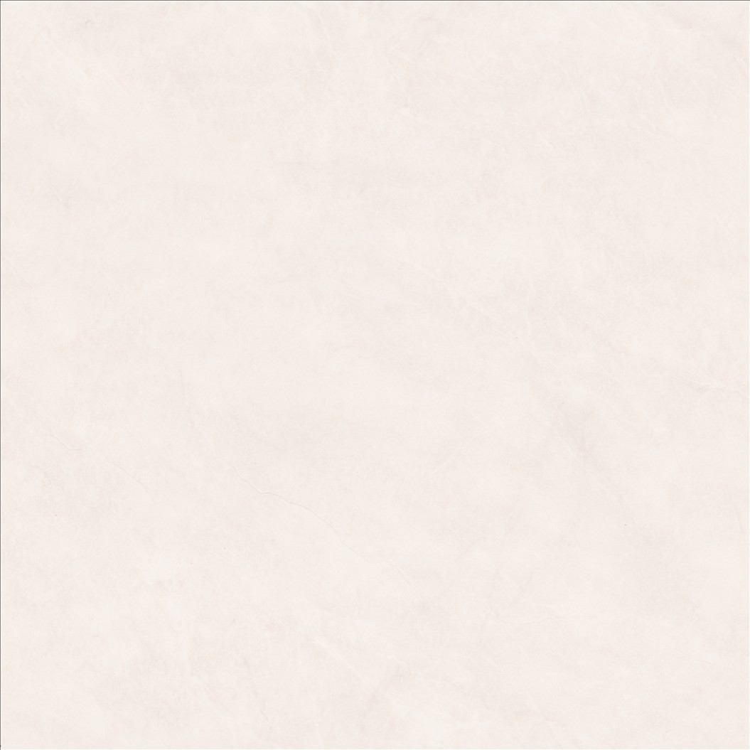 Porcelain Floor Tile 6199